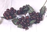 berries93